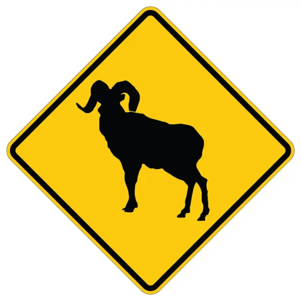 Bighorn Sheep Symbol